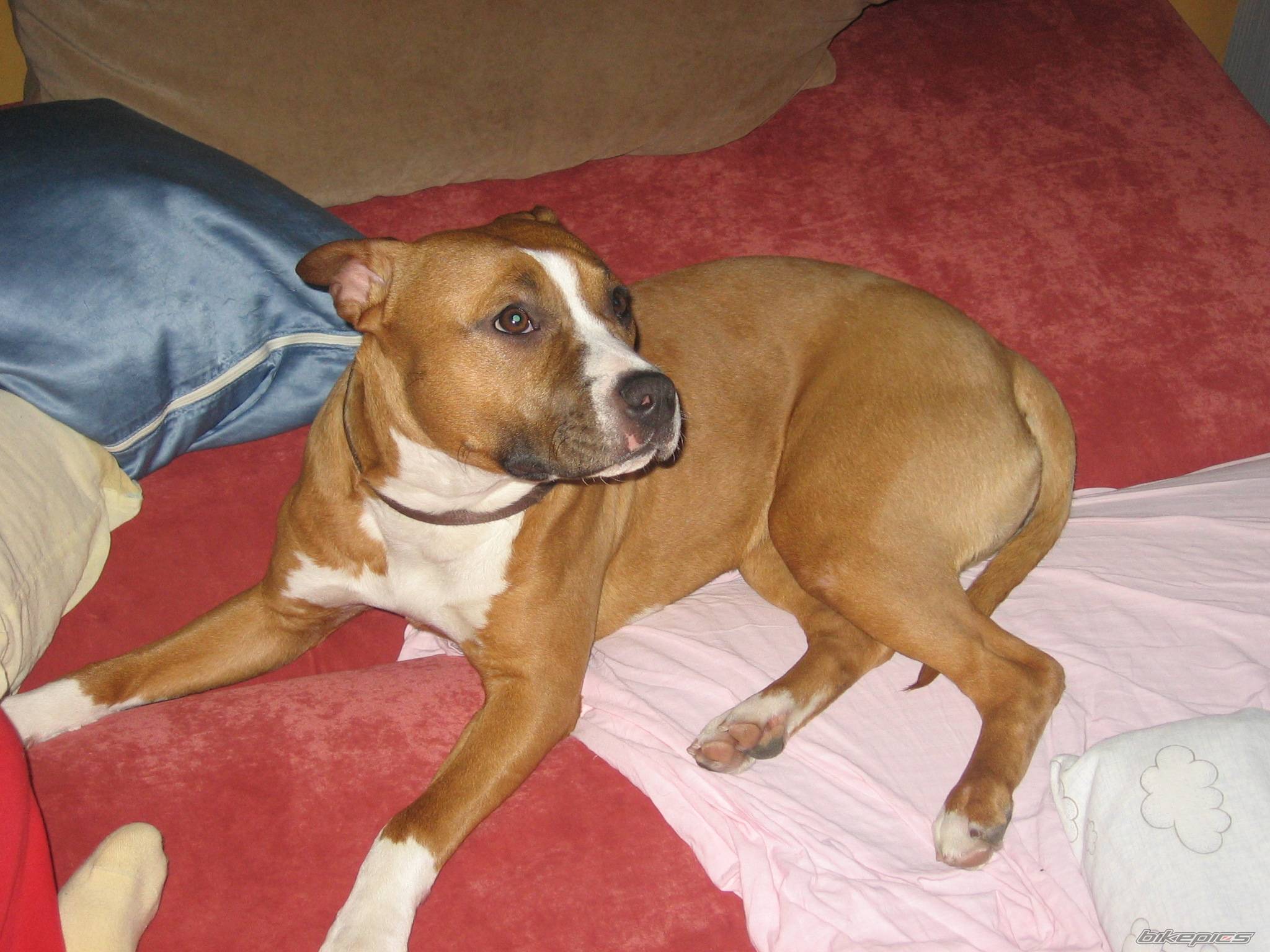Photo 492405