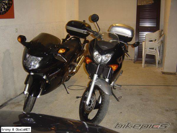 Photo 492452