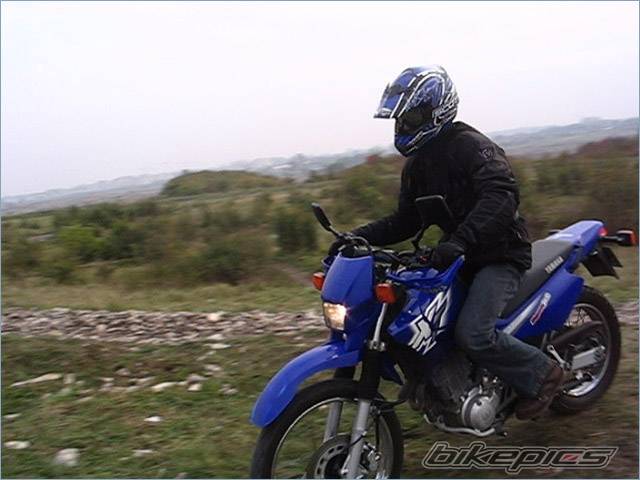 Photo 492459