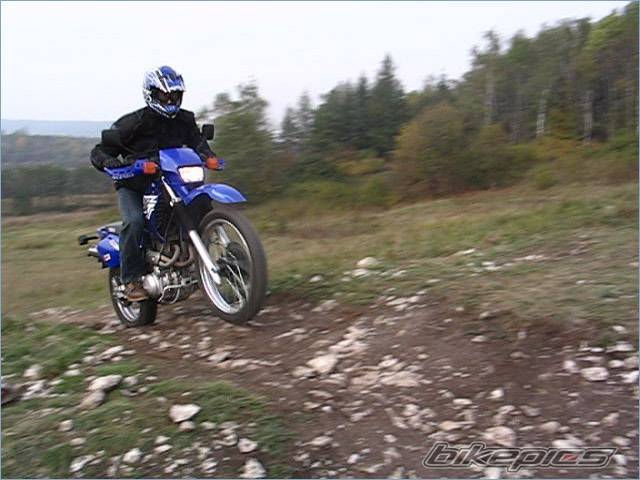 Photo 492461