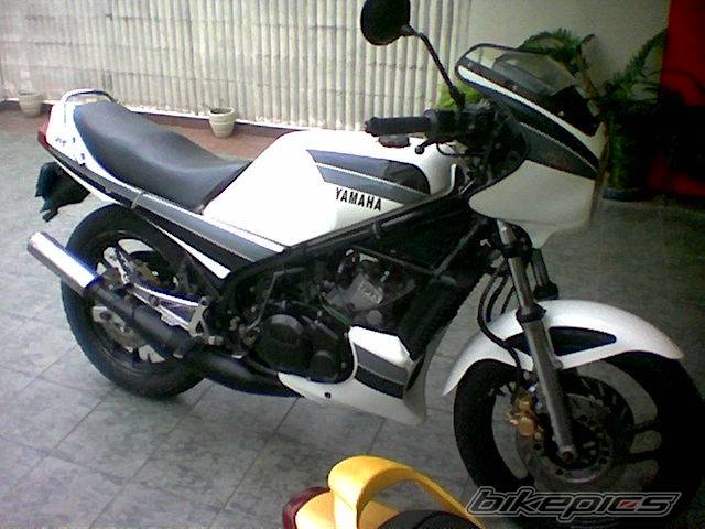 Photo 492491