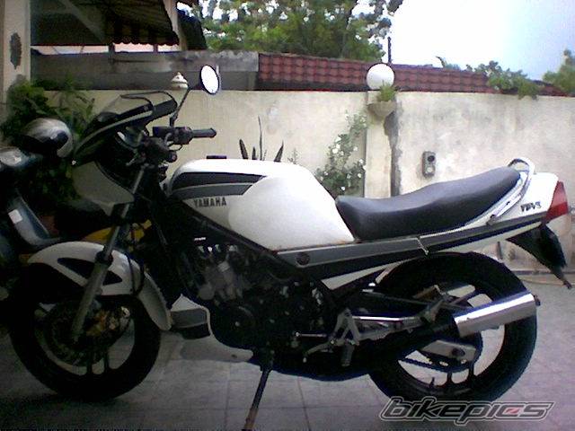 Photo 492492