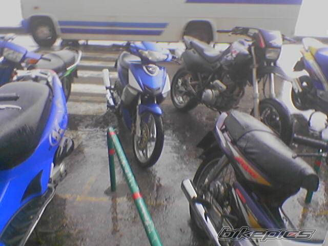 Photo 492535