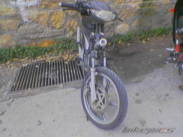 Photo 492538