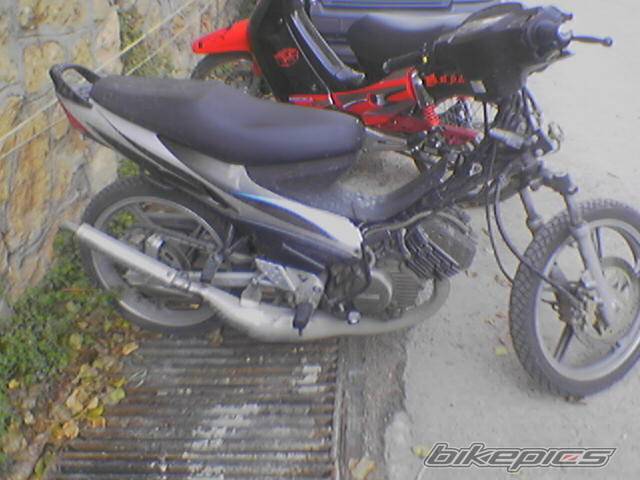 Photo 492540
