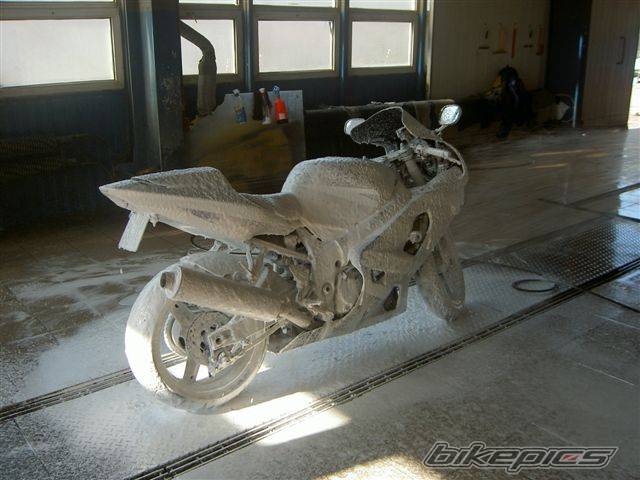 Photo 492561