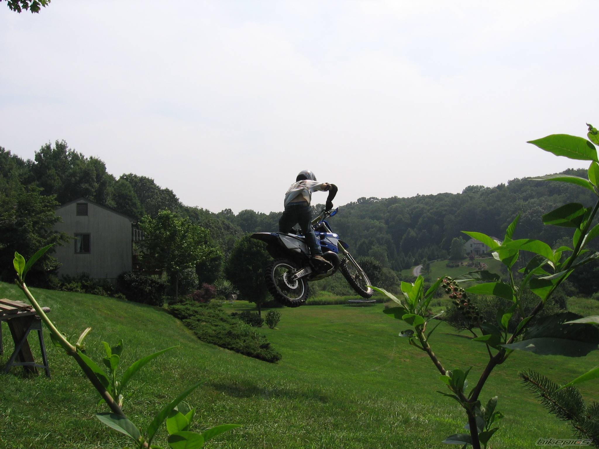 Photo 492585
