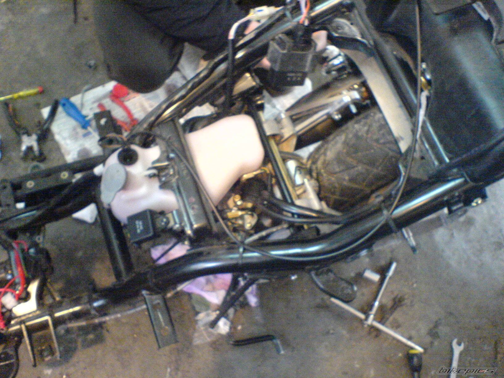 Photo 492628