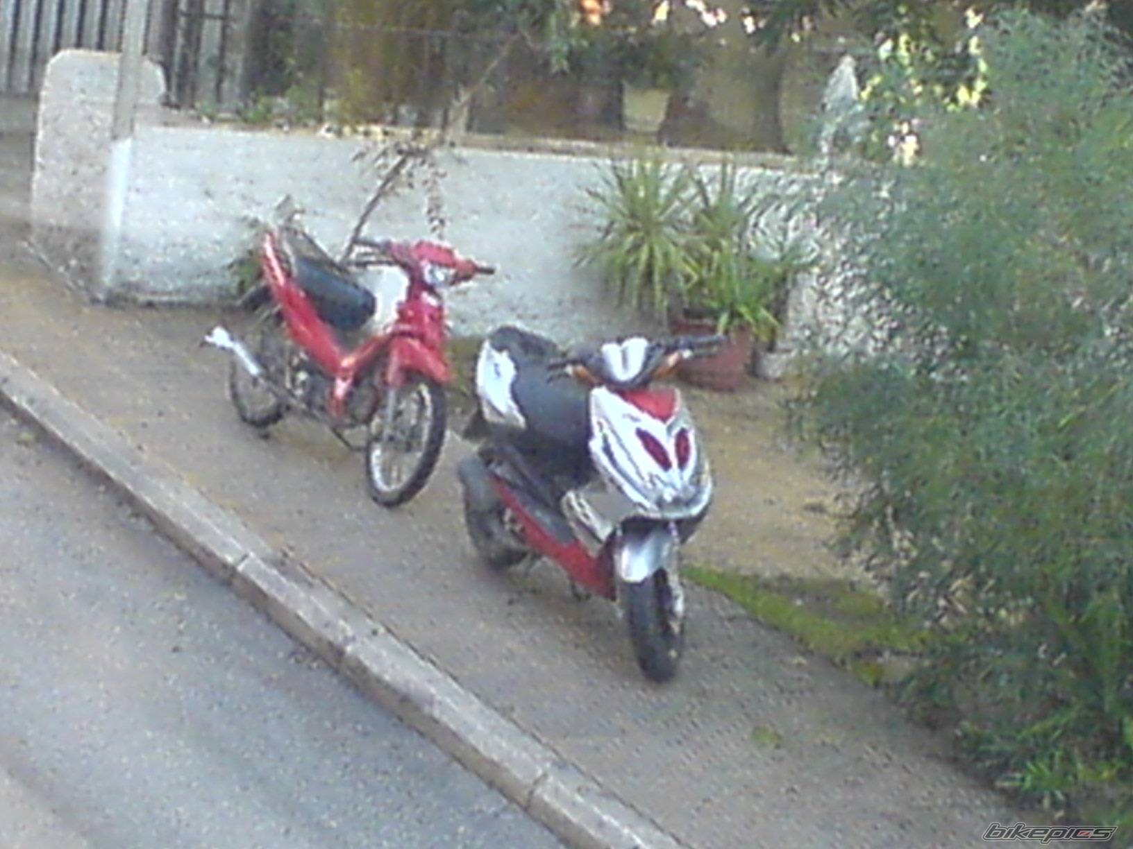 Photo 492667