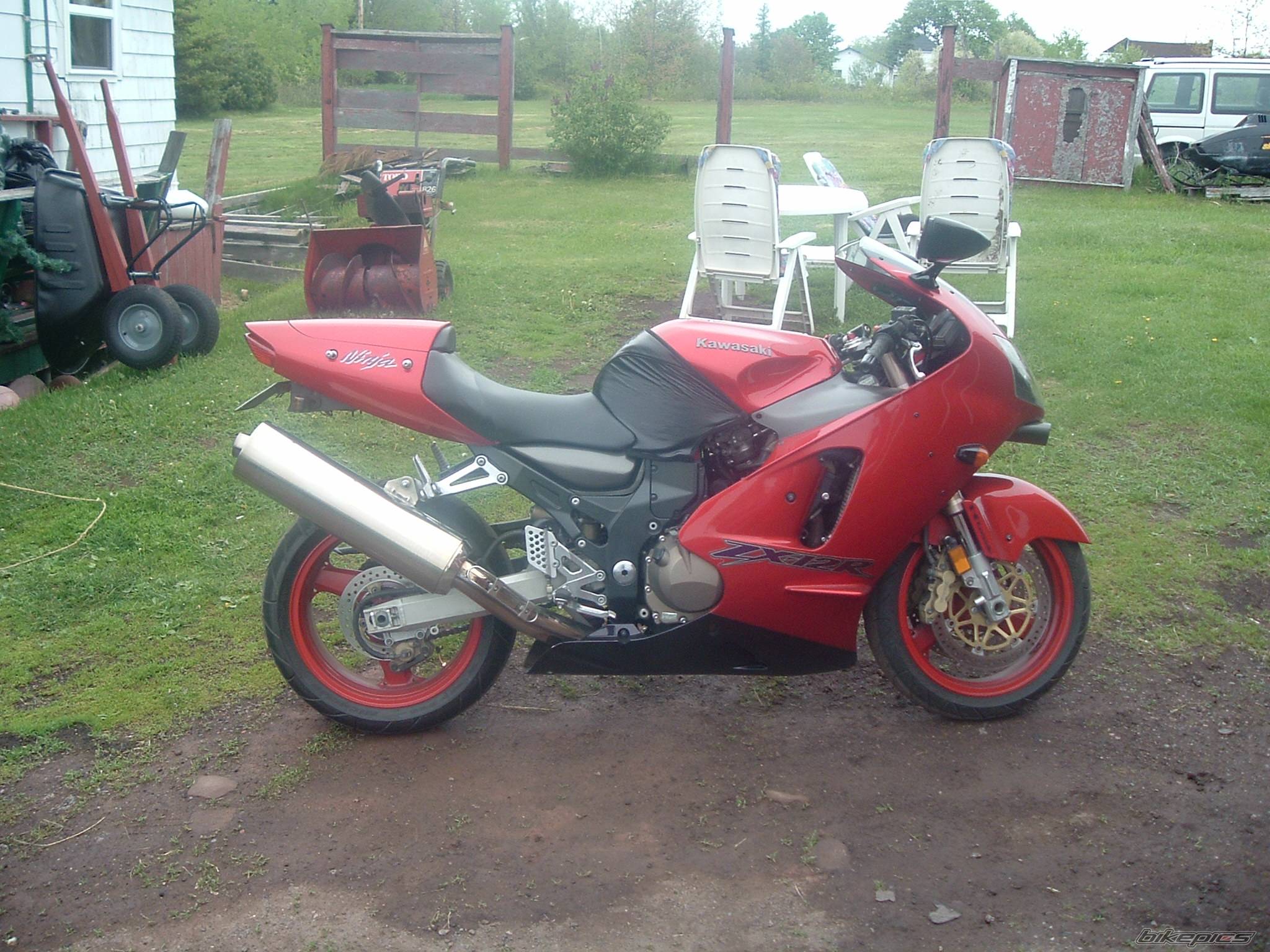 Photo 492684