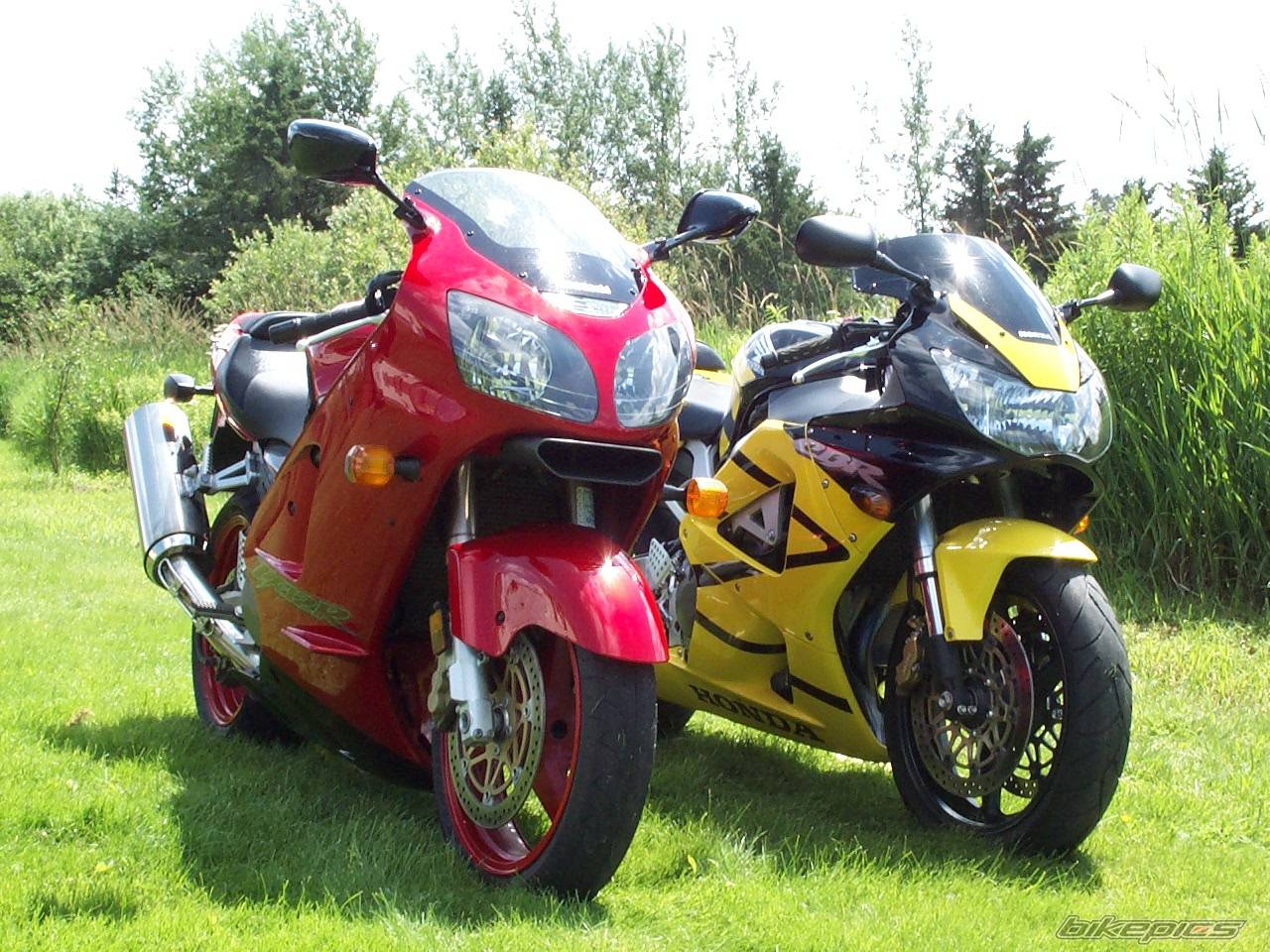 Bike Photo 492686