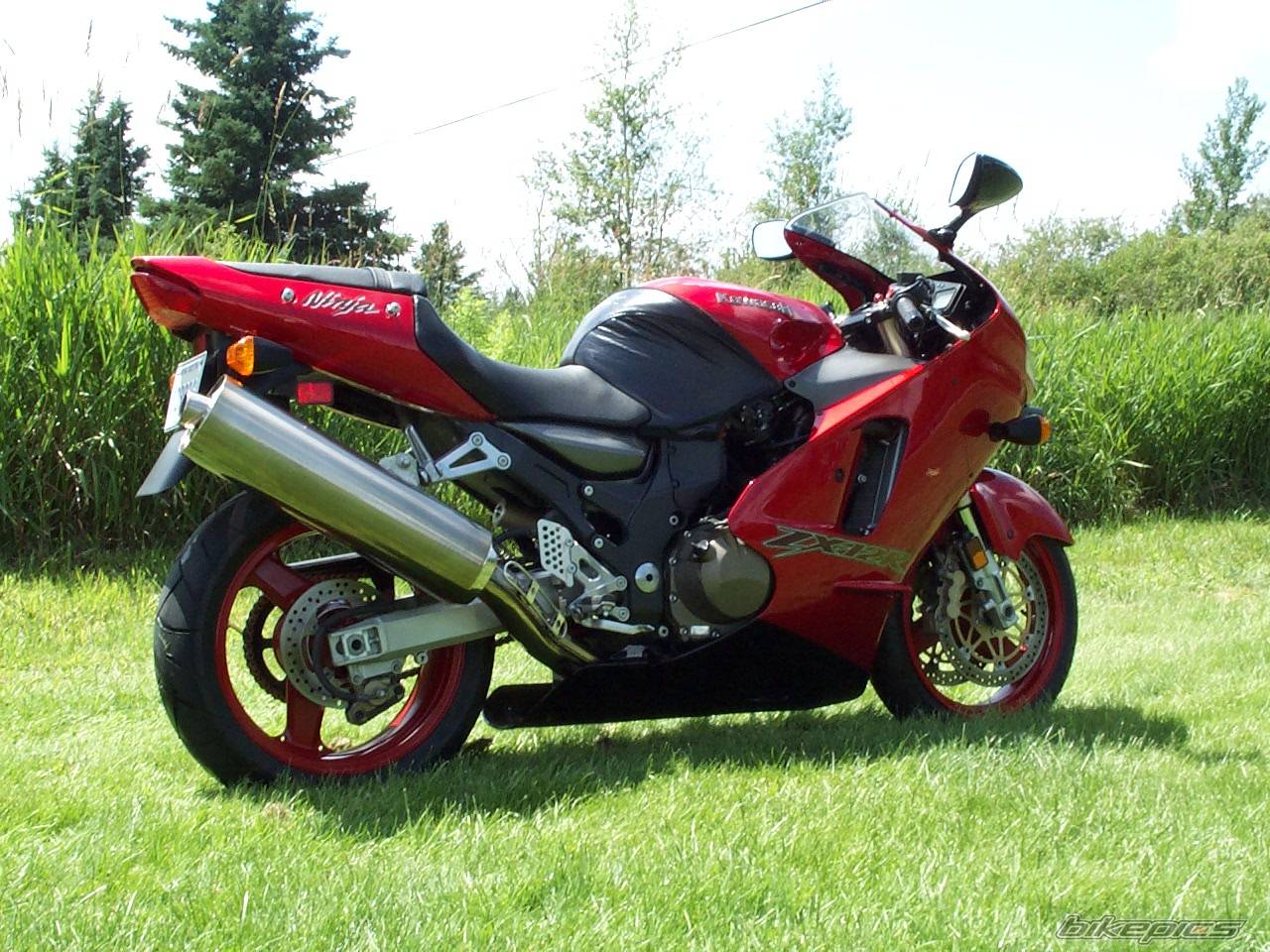 Bike Photo 492690
