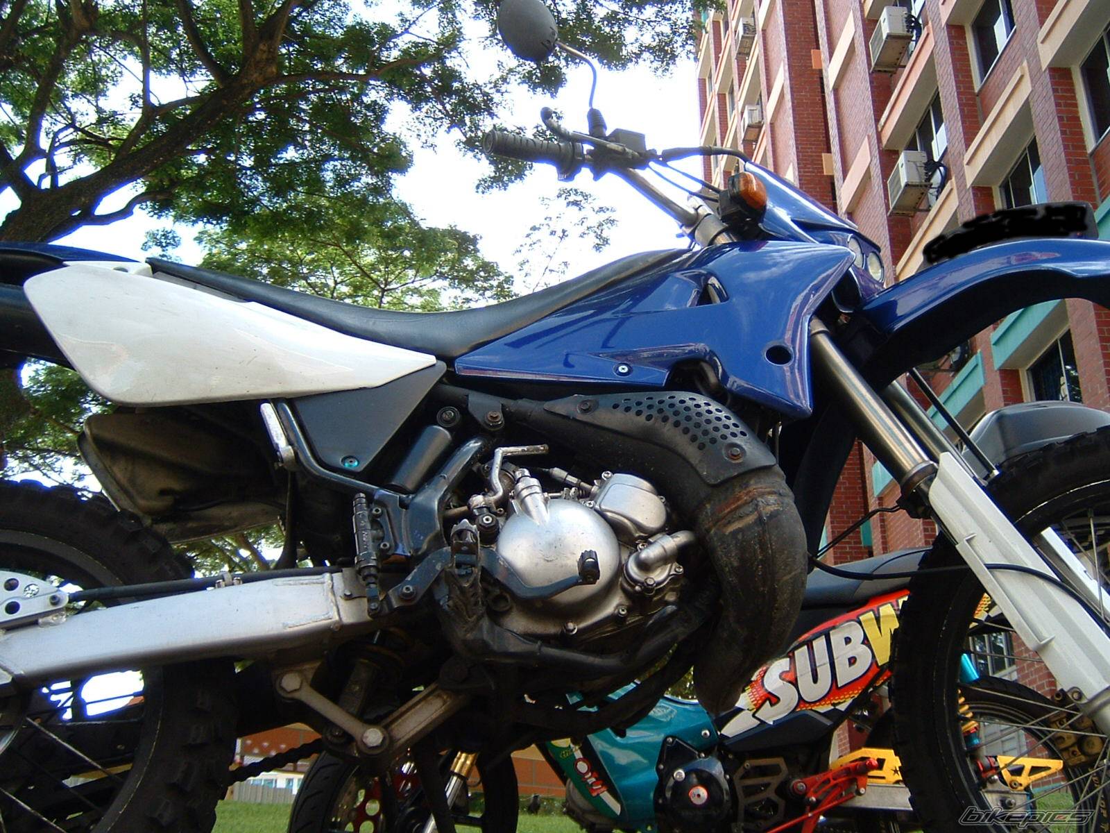 Photo 492741