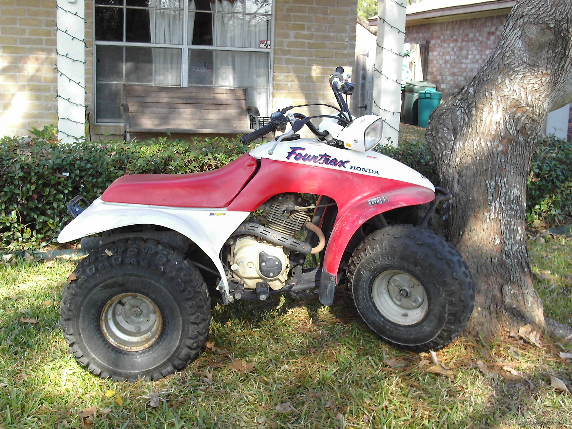 Photo 492759