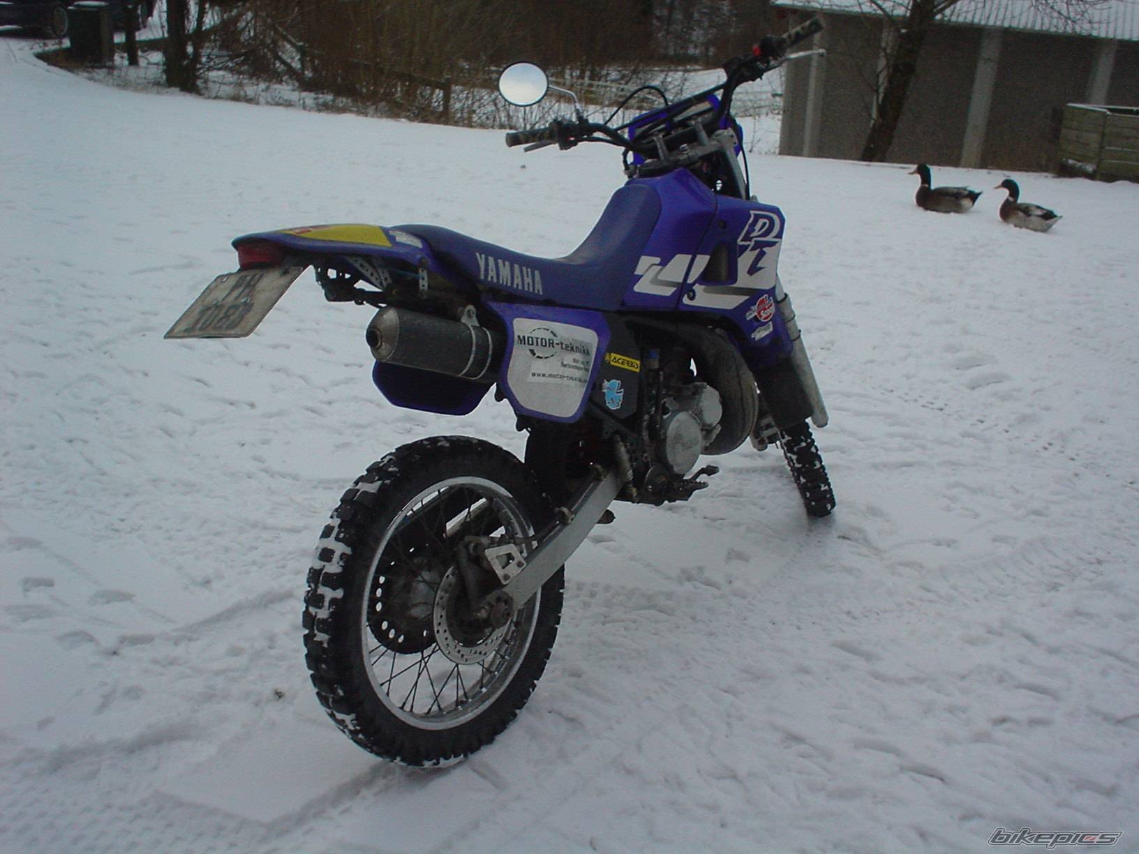 Photo 492776