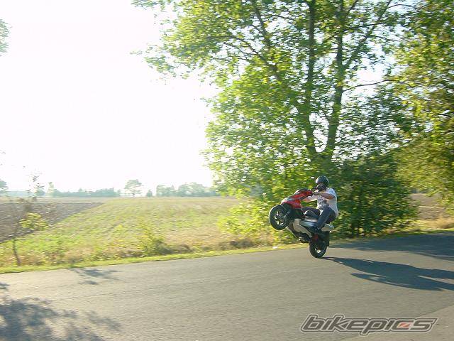 Photo 492778