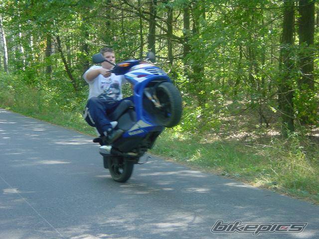 Photo 492781