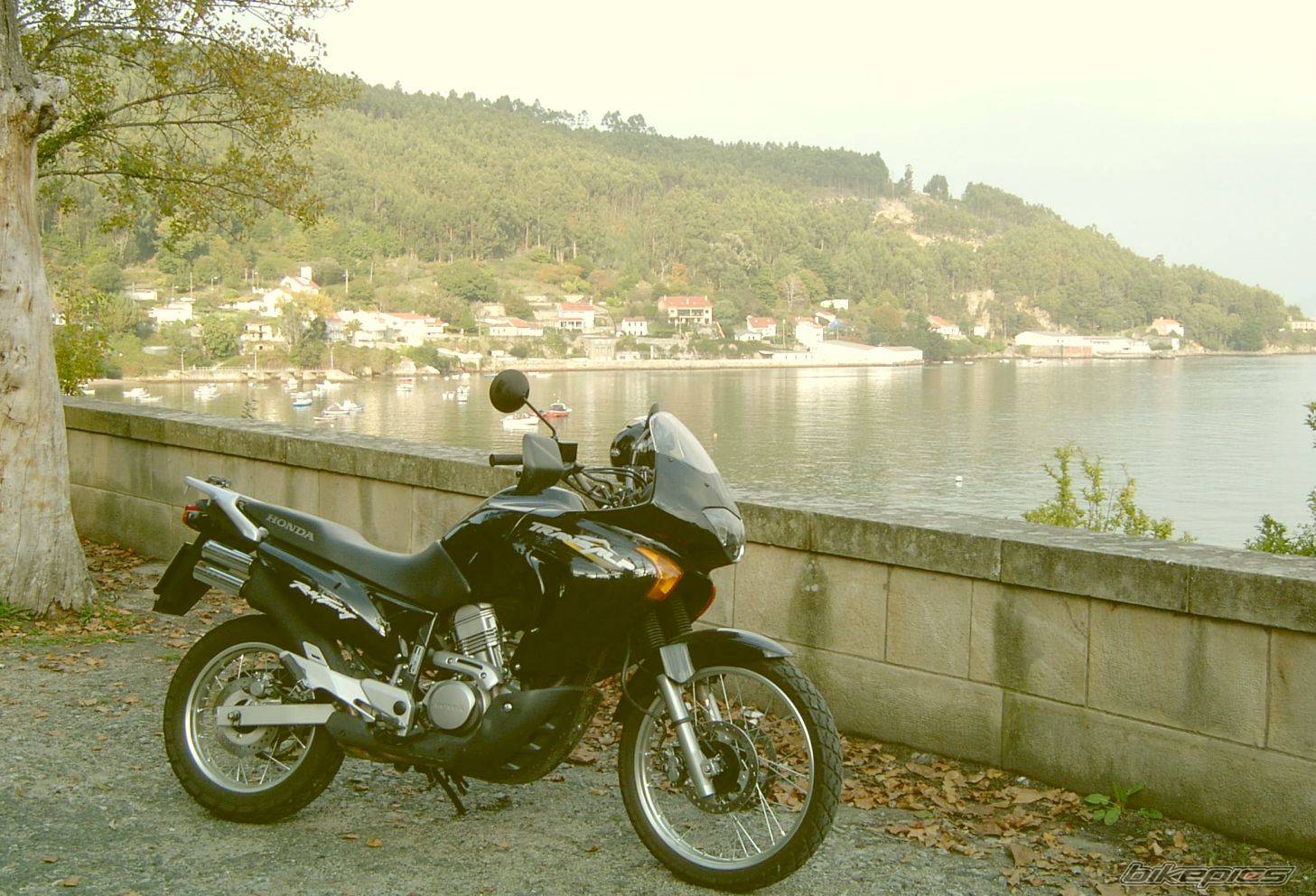 Photo 492788