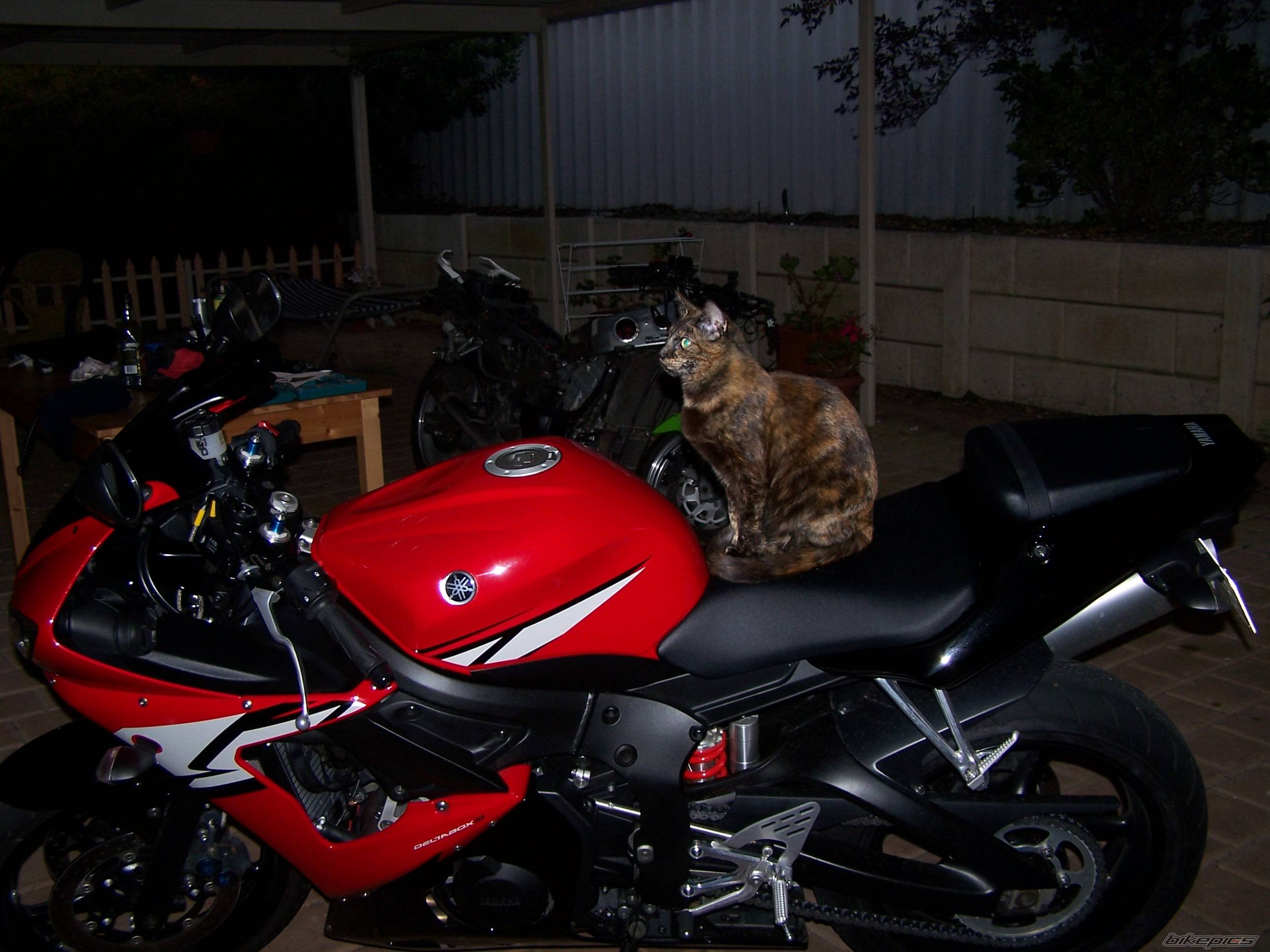 Photo 492826
