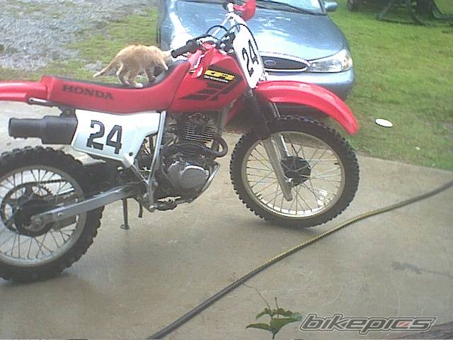 Photo 49291