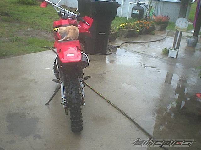 Photo 49292