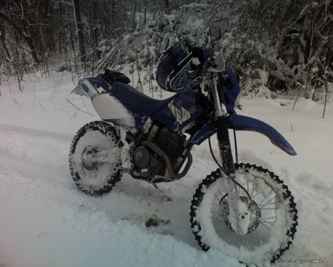 Bike Photo 492952