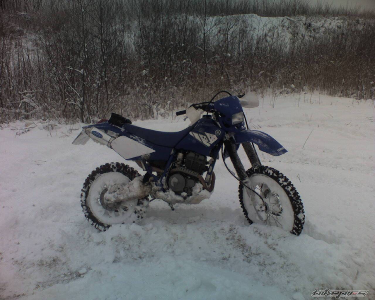 Bike Photo 492954