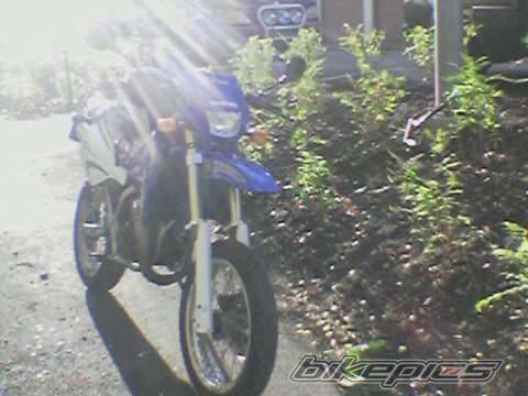 Photo 493018