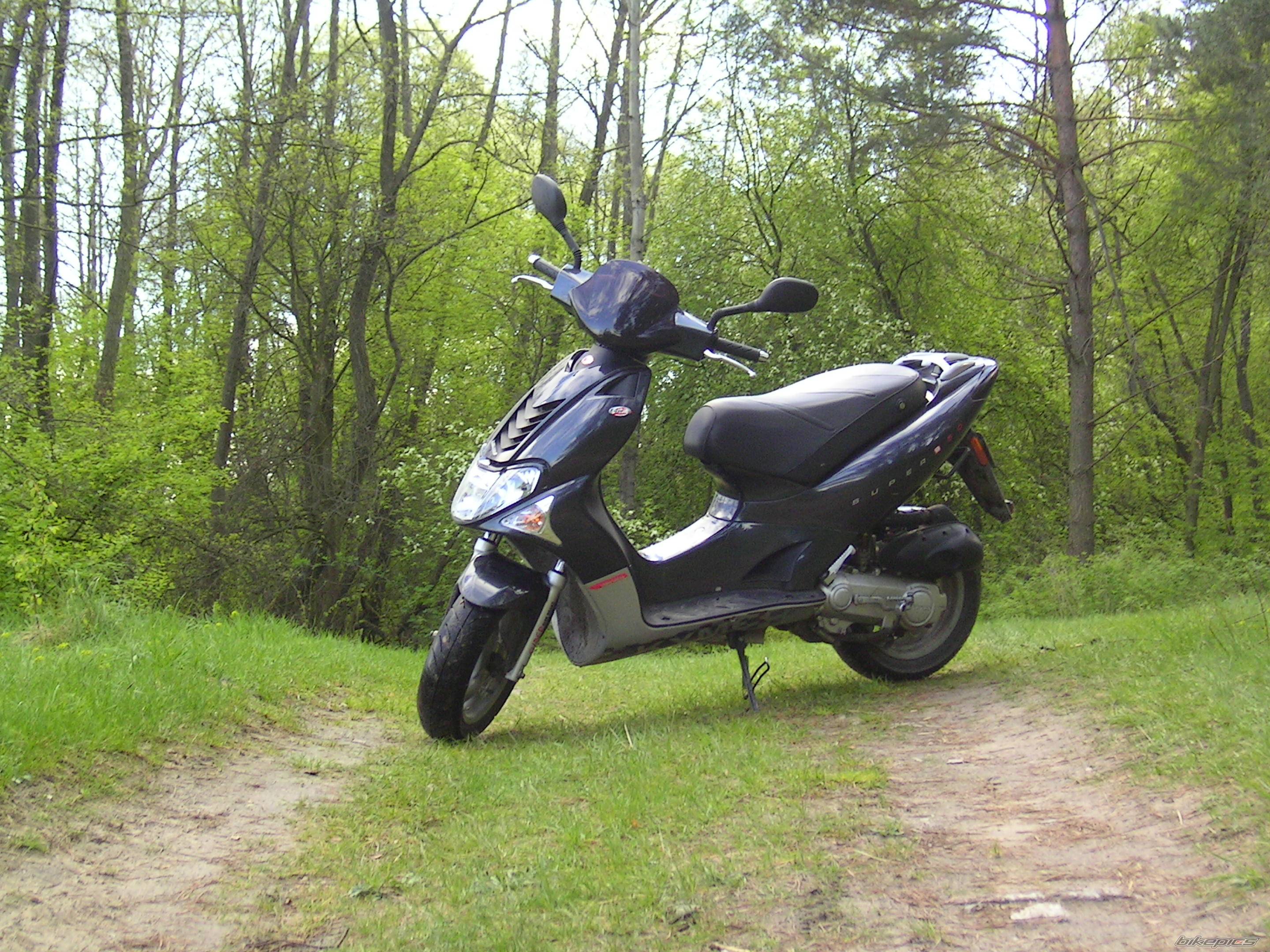 Photo 493024