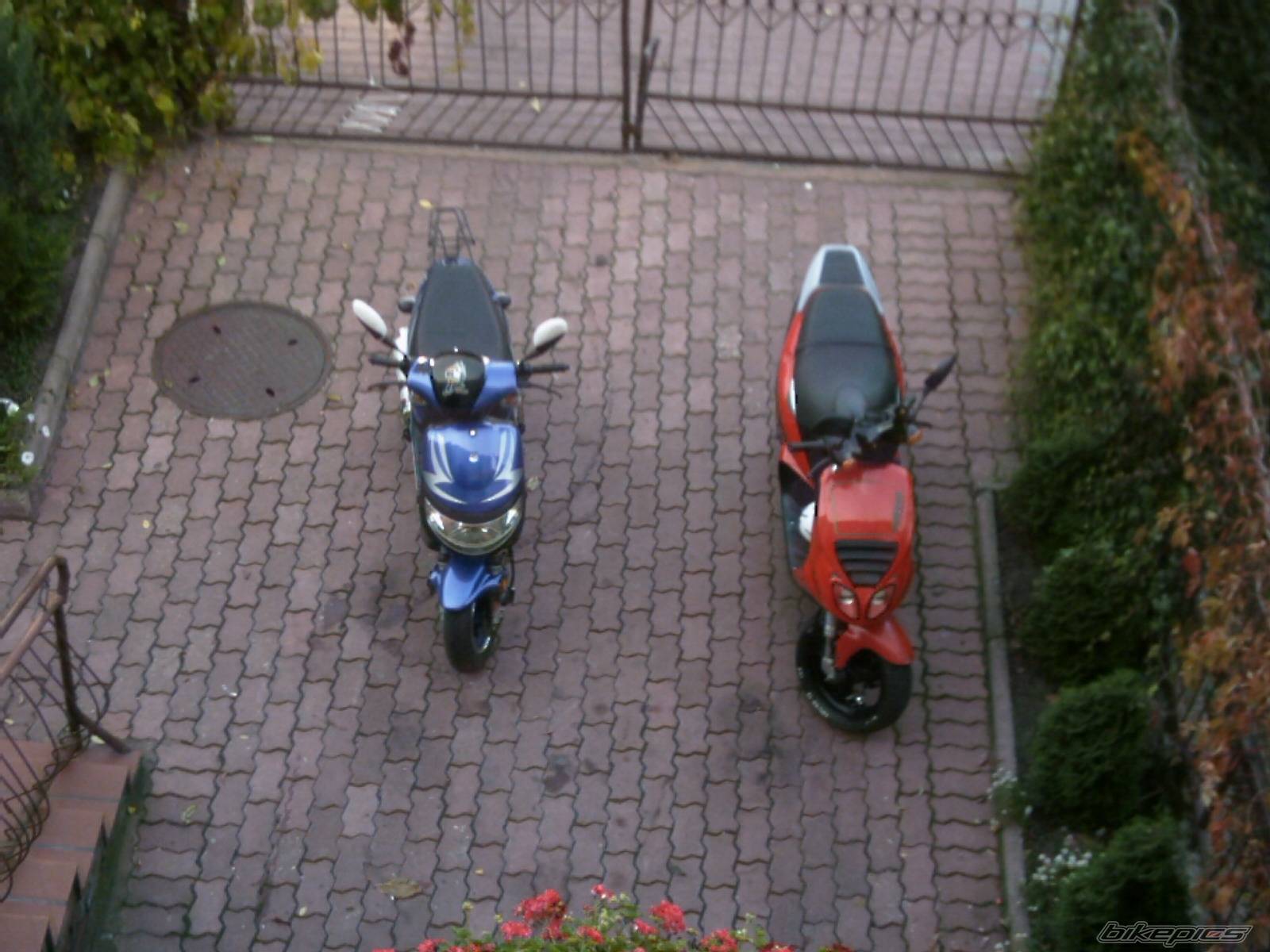 Photo 493160