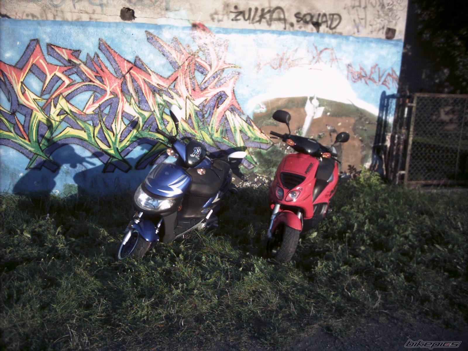 Photo 493178