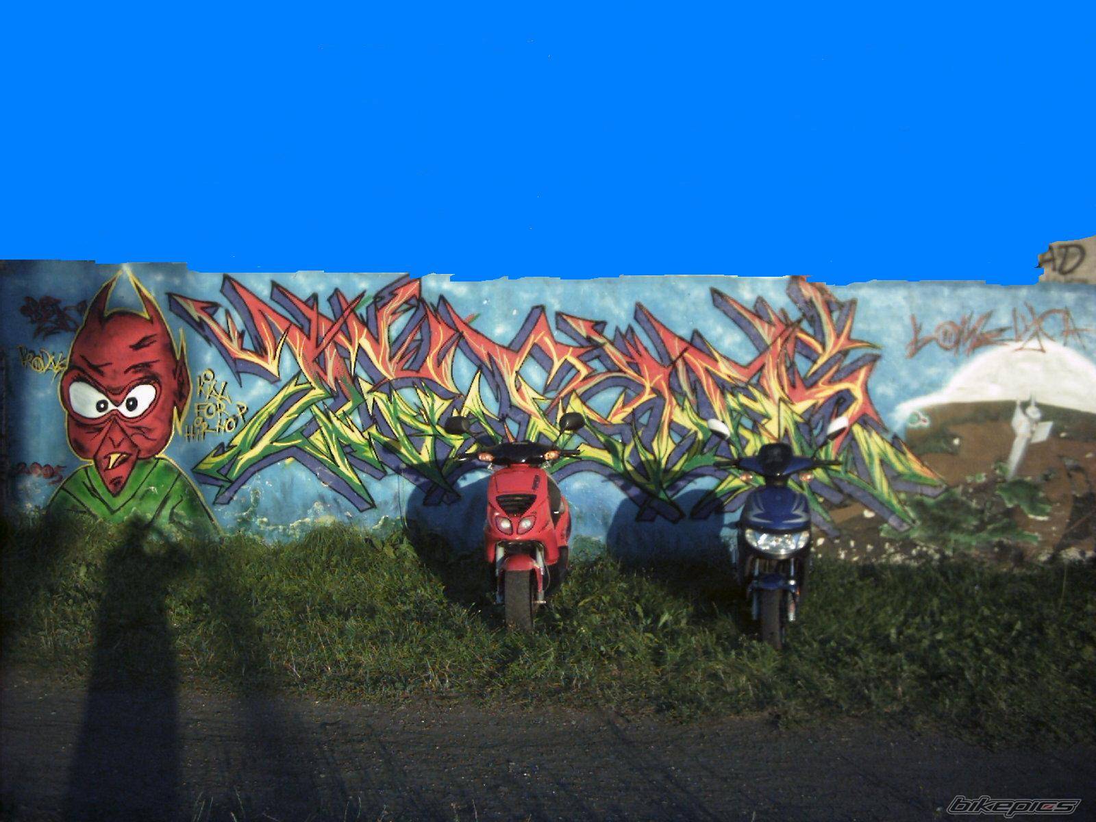 Photo 493180