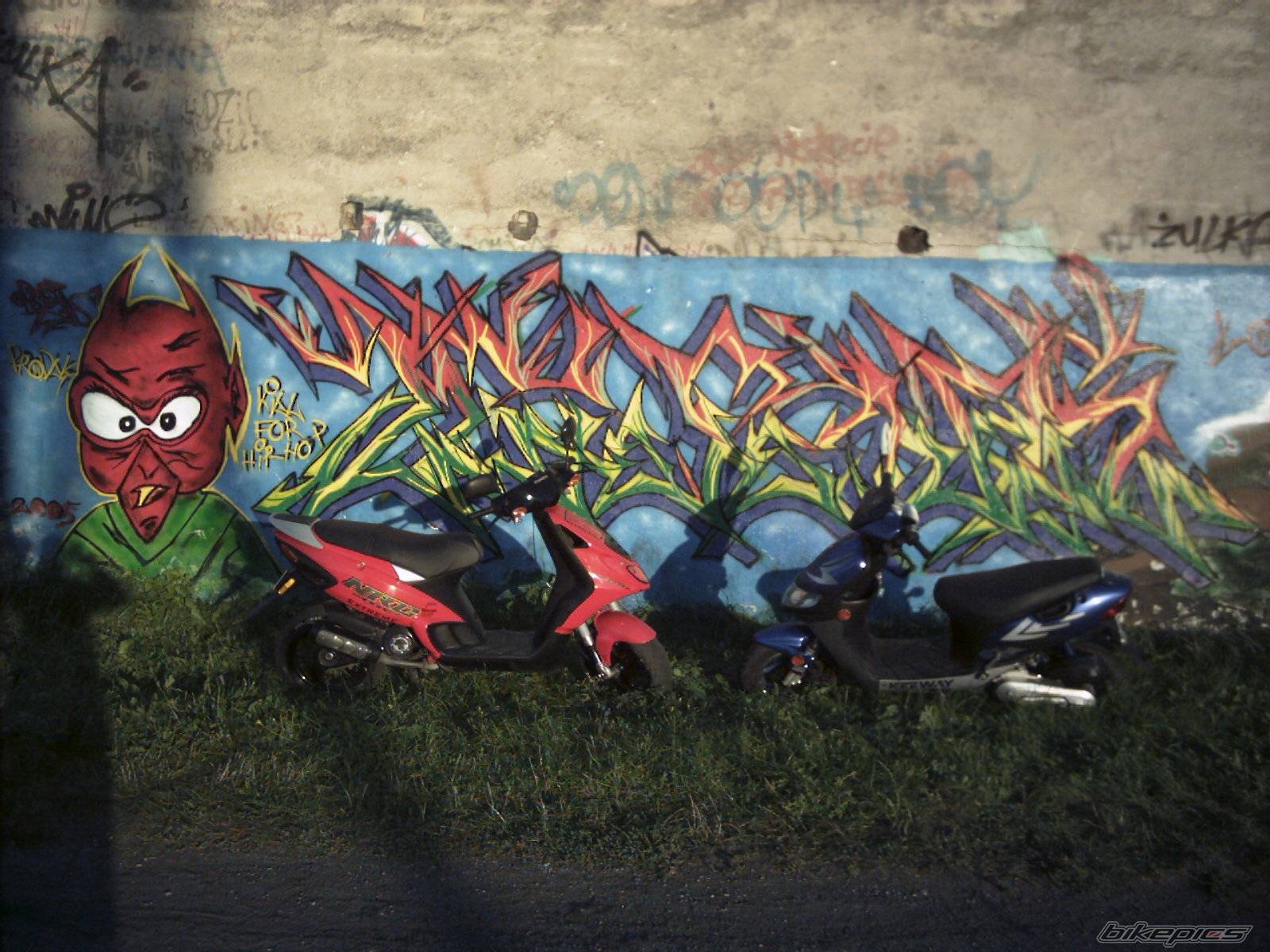 Photo 493181