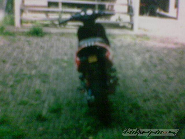 Photo 493198