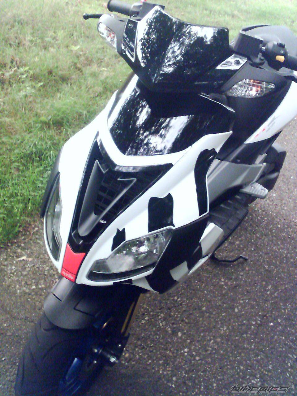 Photo 493204