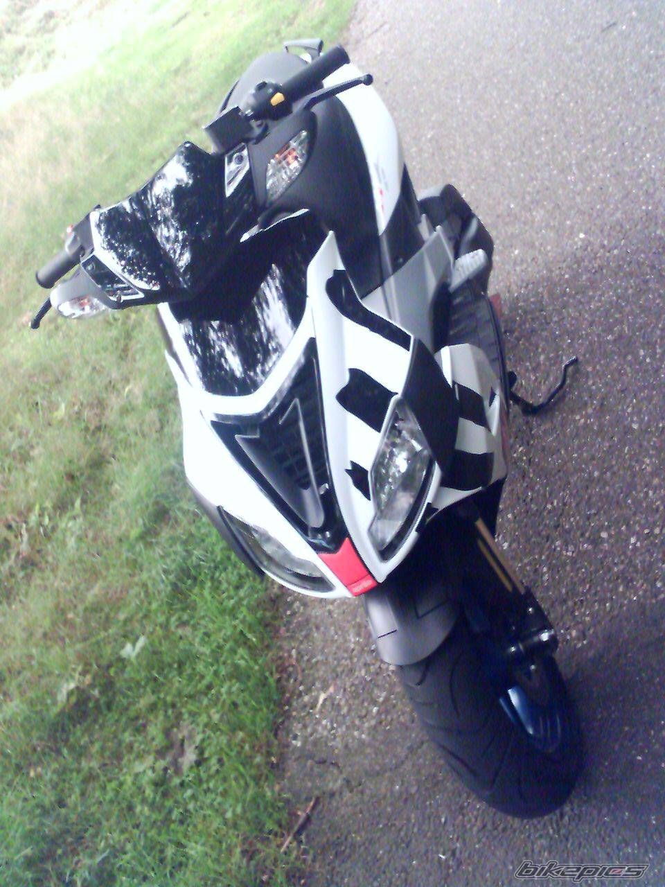 Photo 493207