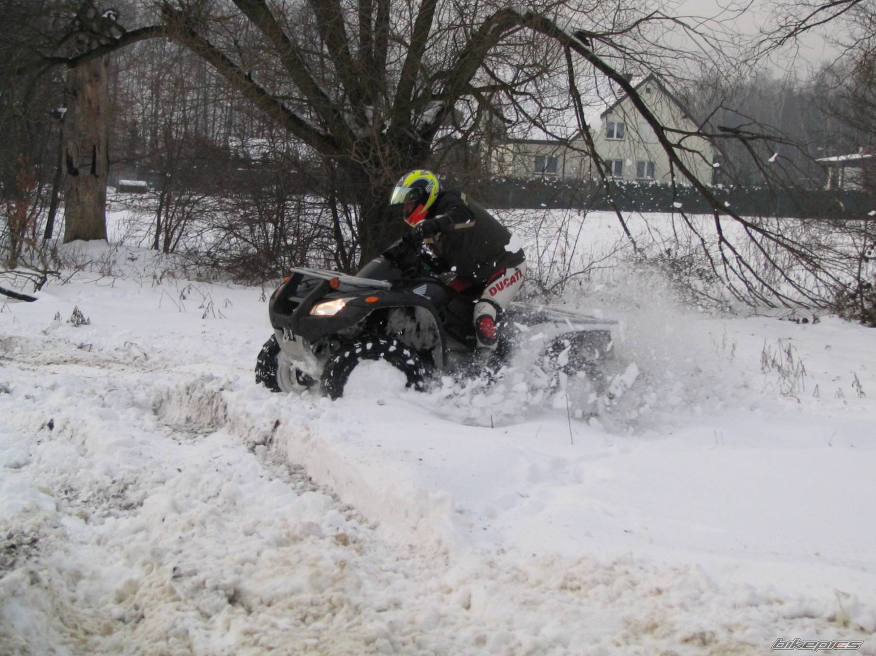 Photo 493235