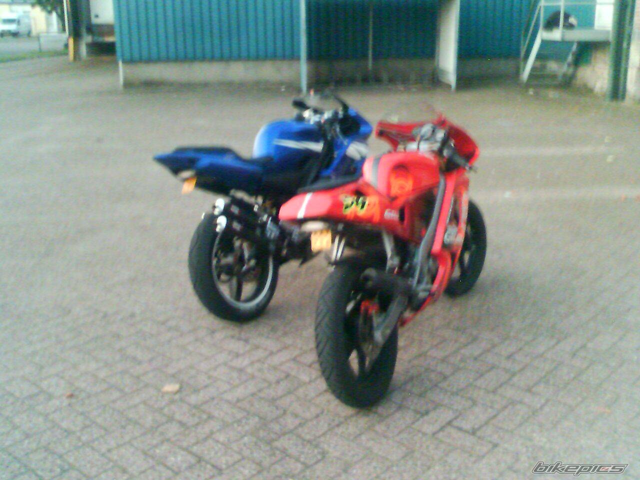 Photo 493265