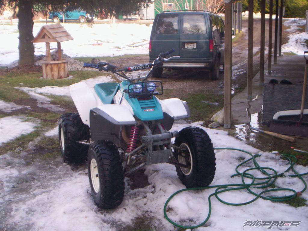 Photo 493286