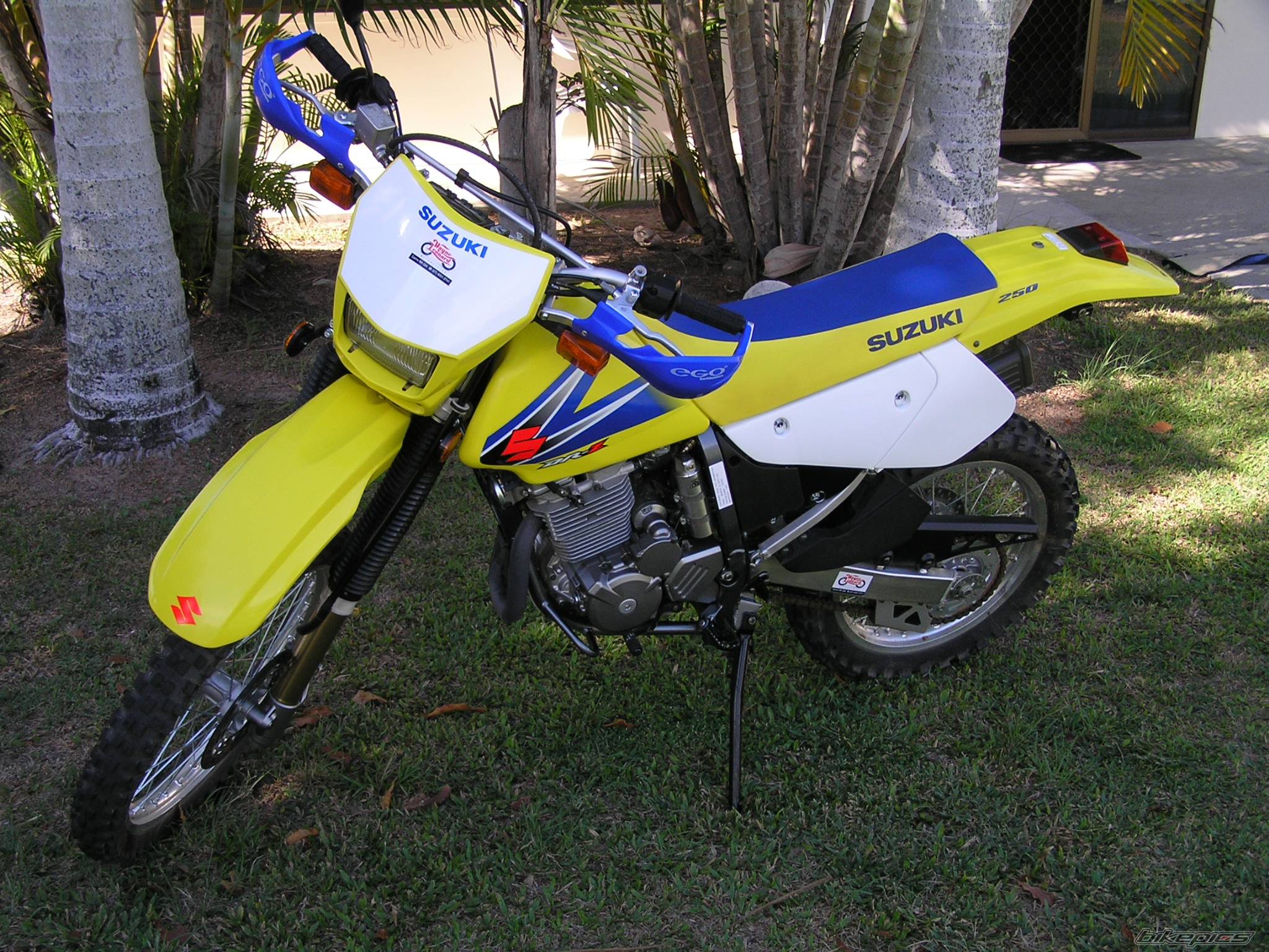 Photo 493289
