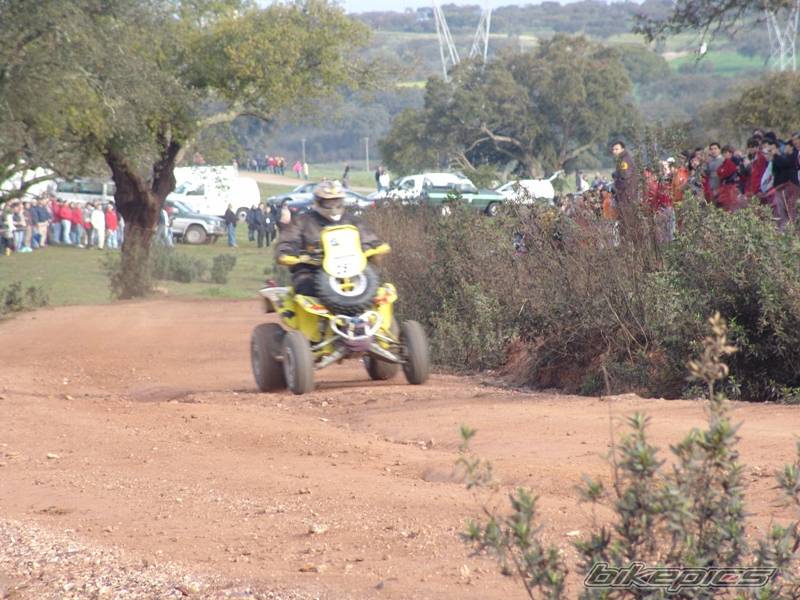 Bike Photo 493332