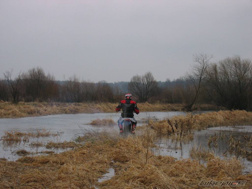 Photo 493334