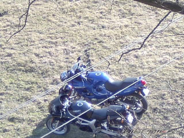Photo 49341