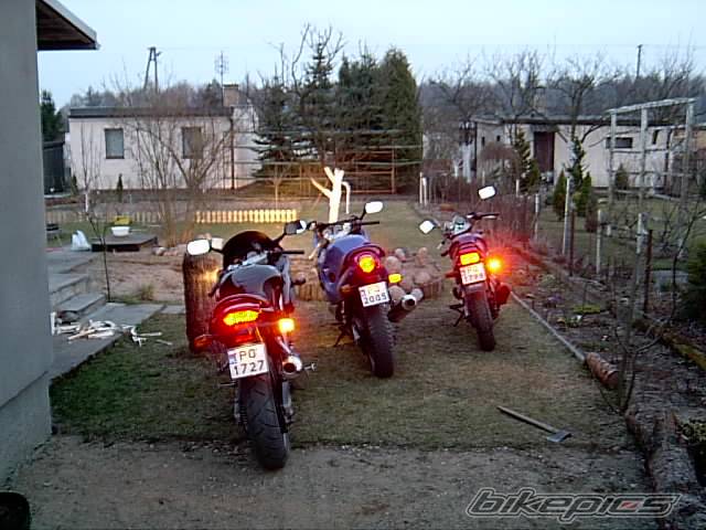 Photo 49342