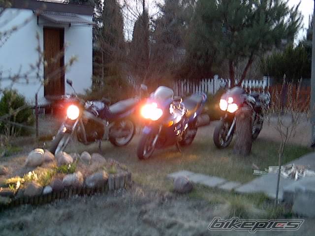 Photo 49343