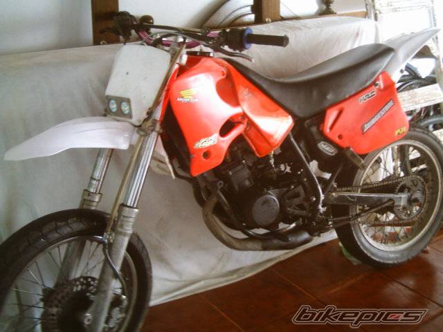 Photo 493538