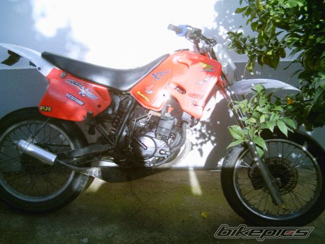 Photo 493540