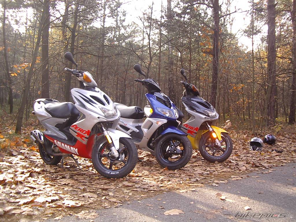 Photo 493552