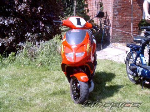 Photo 49356