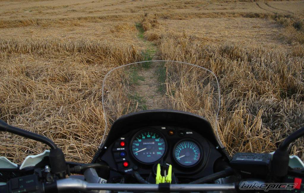 Bike Photo 493630